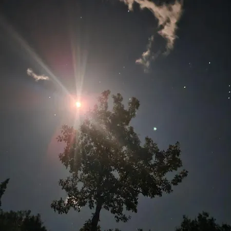 Ionian Pearl 아파트 *